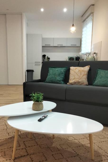 Apartmán L'Escale Balzac Villeurbanne Exteriér fotografie